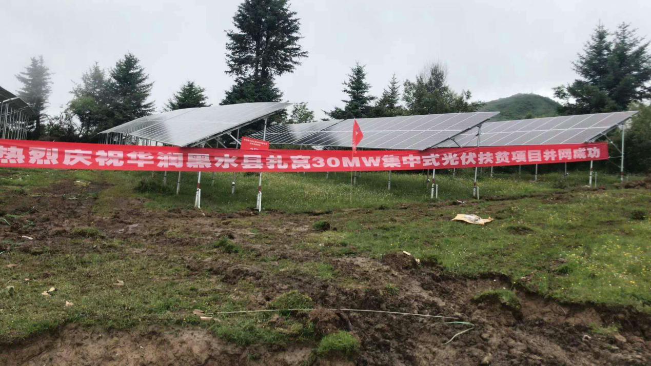 XPJ(中国大陆)有限公司官网